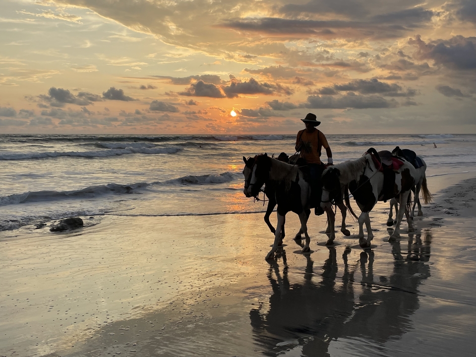 A person riding a horse by the ocean at sunset.