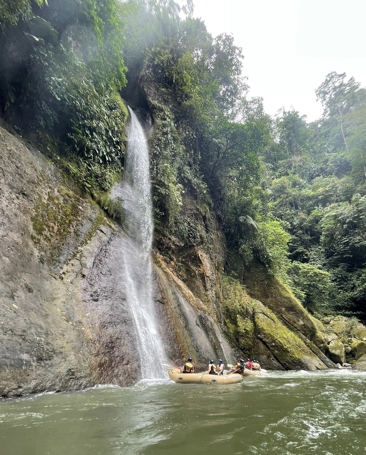 Une cascade dans un cadre forestier luxuriant.