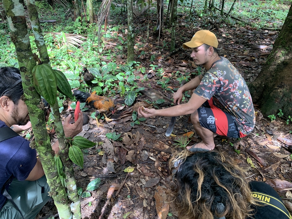 Des gens interagissant avec des poules dans un environnement de jungle.