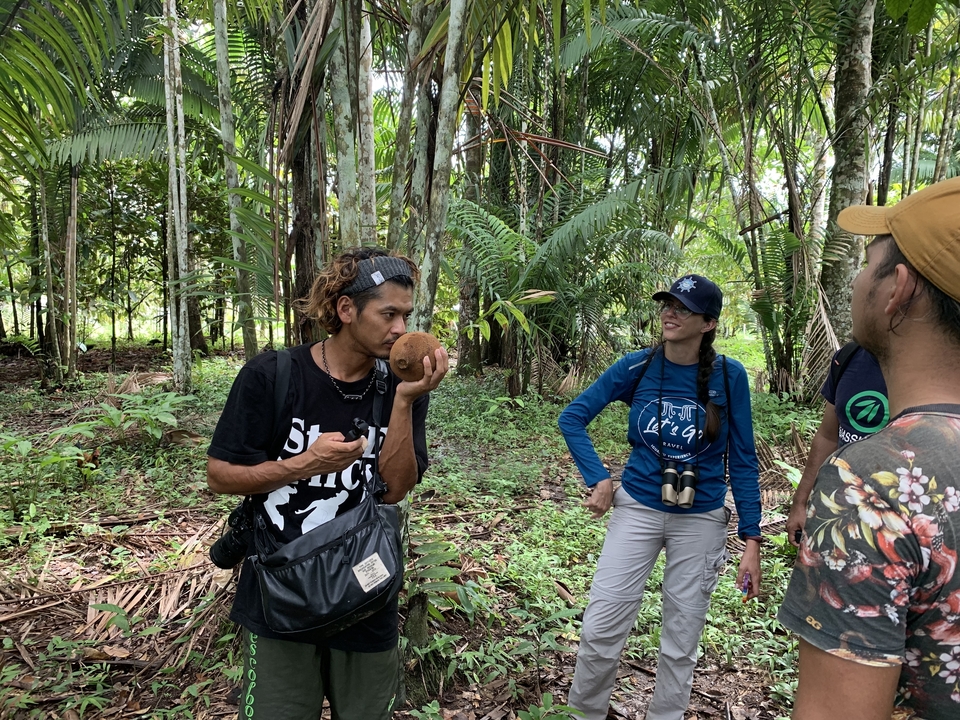 Groupe de personnes participant à une visite dans la jungle.