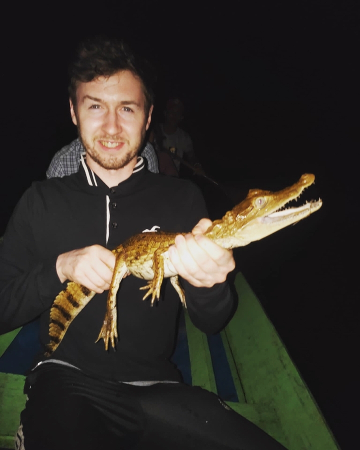 Personne tenant un petit alligator la nuit.