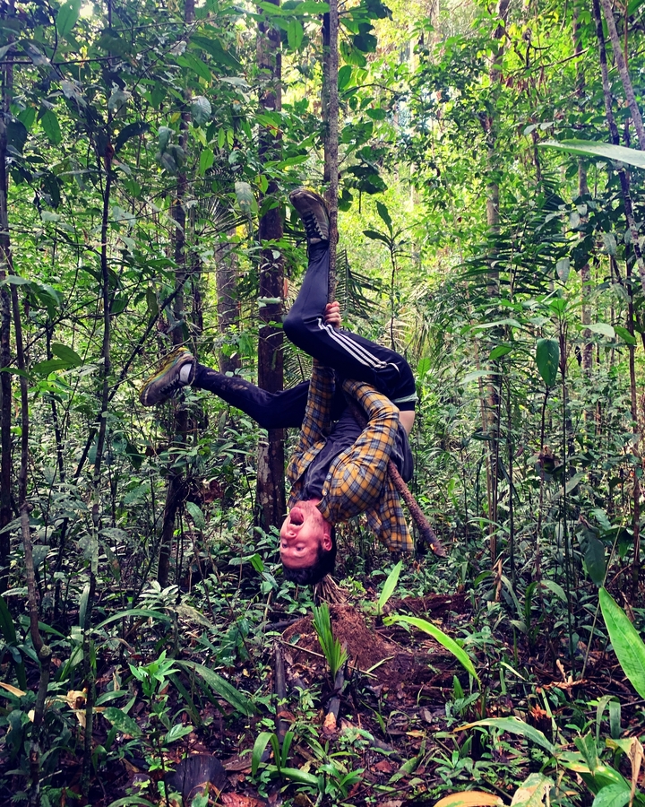 Personne suspendue la tête en bas à une liane dans la jungle.