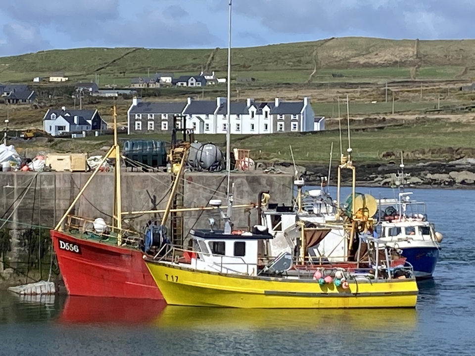 Des bateaux de pêche colorés amarrés dans un port avec des maisons en arrière-plan.