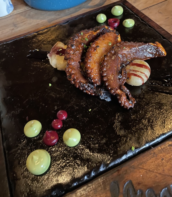 Gourmet octopus dish presented with artistic plating.