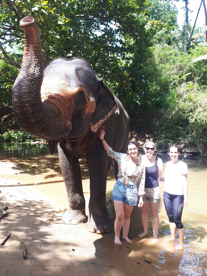 Trois personnes prenant la pose avec un éléphant