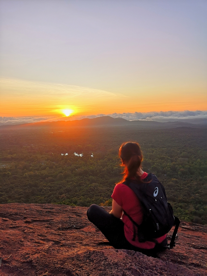 Personne regardant le lever du soleil sur un paysage forestier