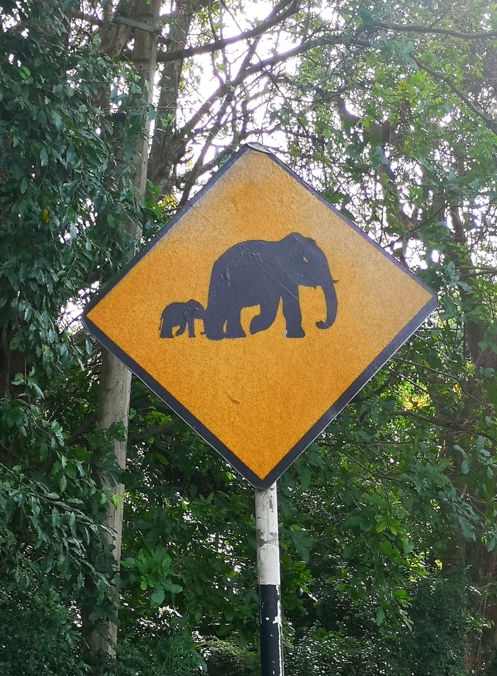 Panneau d'avertissement avec des éléphants sur un fond de forêt
