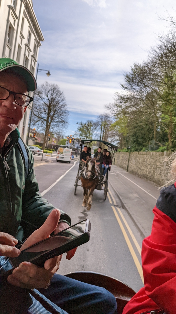 Scène d'une calèche tirée par un cheval dans une rue de la ville.