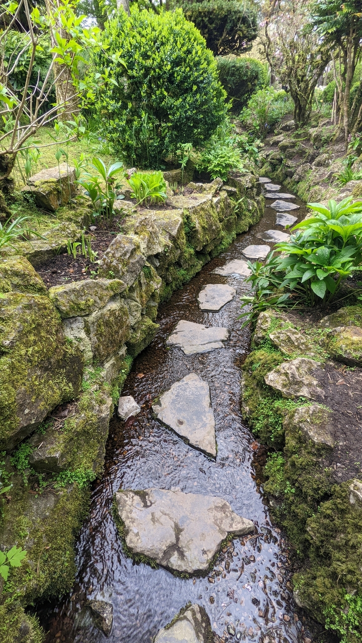 Un ruisseau de jardin avec des pierres de gué entouré de rochers moussus.