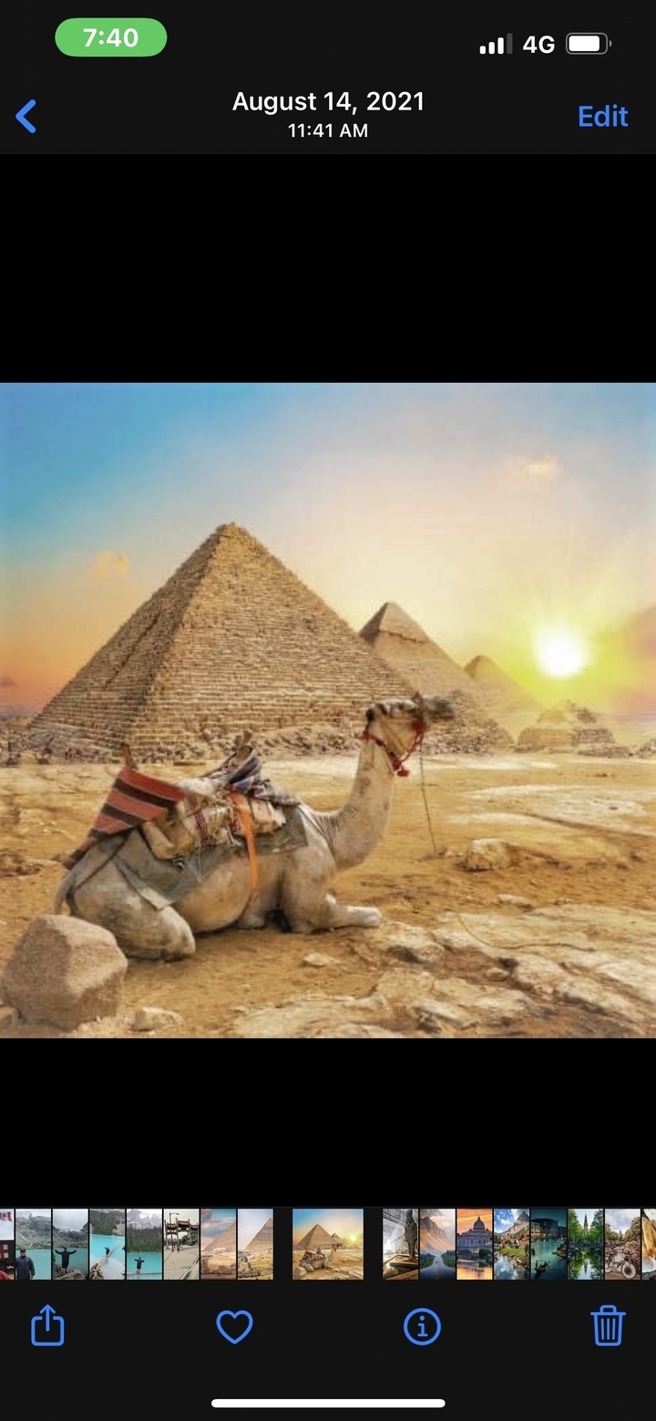 Pyramides de Gizeh avec un chameau au premier plan pendant le coucher du soleil.