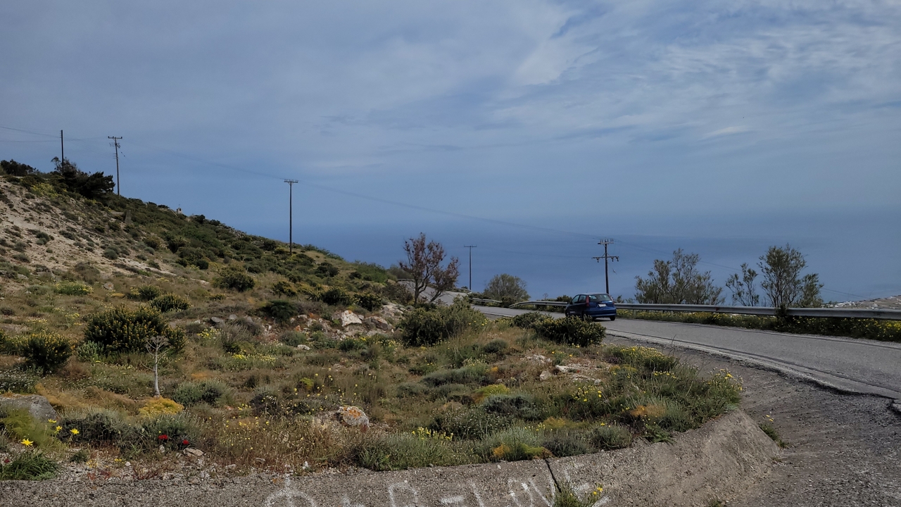 Bord de route avec verdure et vue sur la mer.