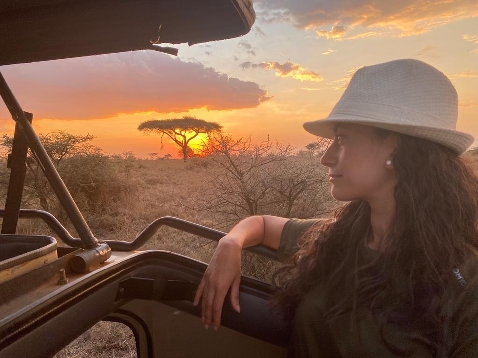 Person admiring sunset in savannah with acacia tree.