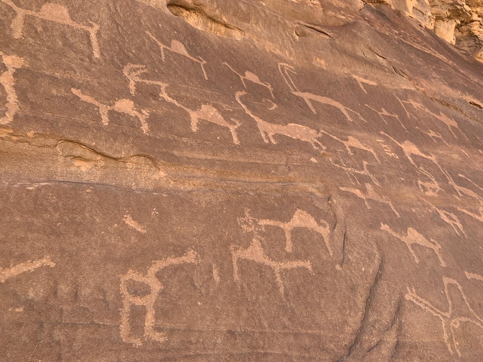 Paroi rocheuse avec pétroglyphes anciens.