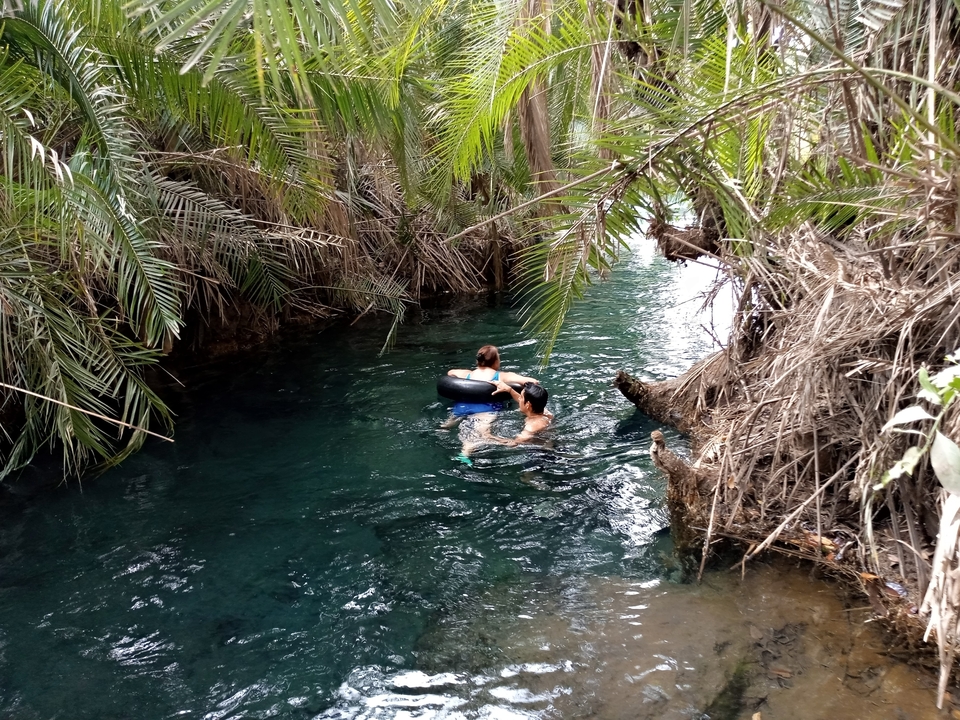 People swimming in a natural waterway surrounded by lush vegetation.