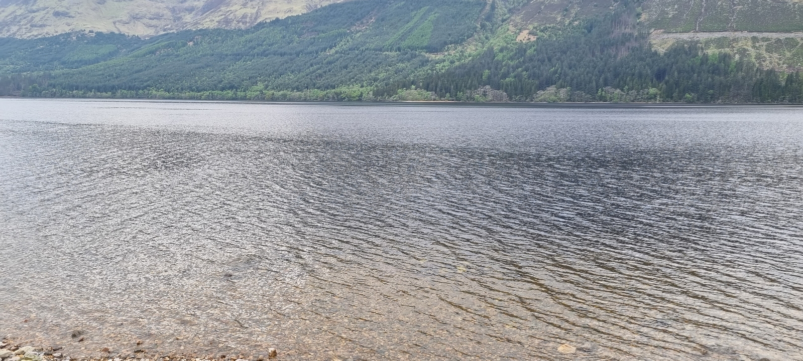 Lac calme avec des rives boisées et des montagnes en arrière-plan.