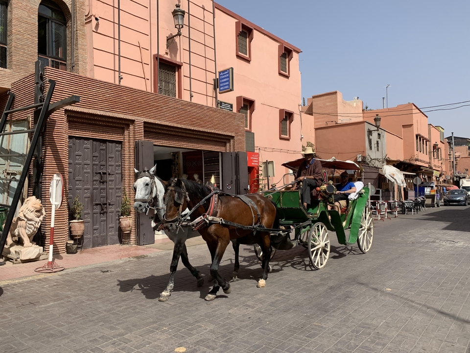 Calèche dans une rue animée avec des bâtiments historiques.