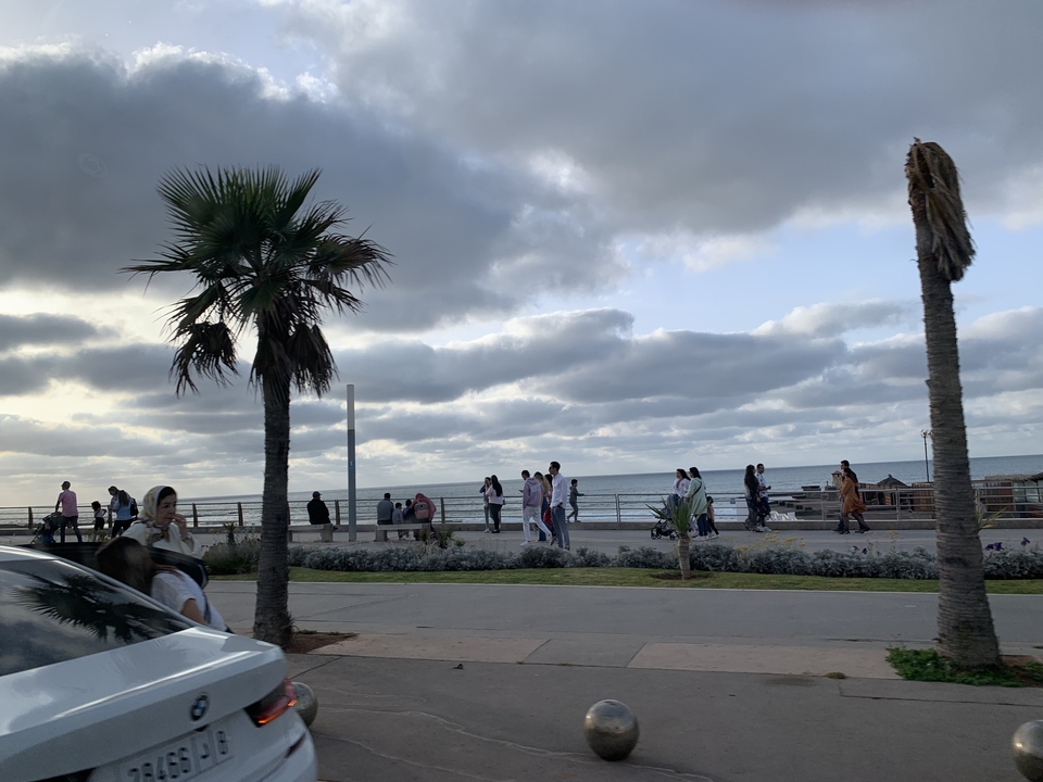 Des gens qui se promènent le long d'une promenade en bord de mer avec des palmiers.