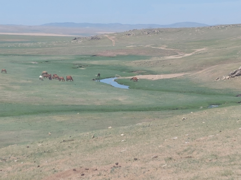 Vallée pittoresque avec des chevaux au pâturage autour d'un ruisseau.