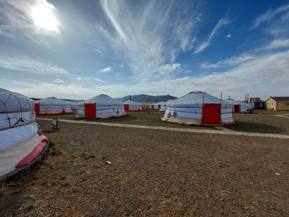 Jeune chameau debout dans un environnement désertique.