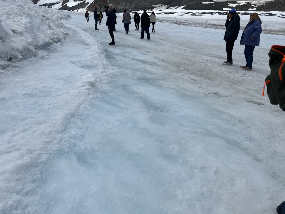 People walking on an icy surface.