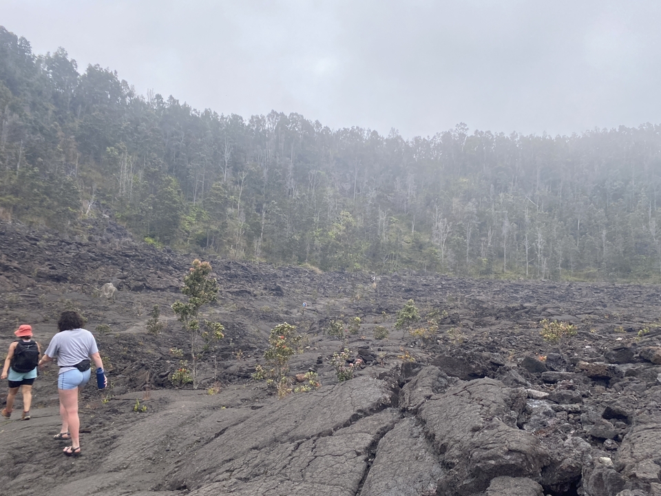 Des gens qui font de la randonnée à travers un paysage volcanique avec des arbres.