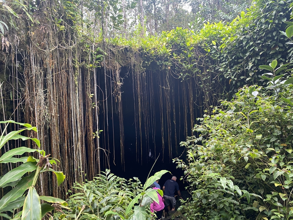 Des gens entrant dans une grotte recouverte de lianes suspendues.