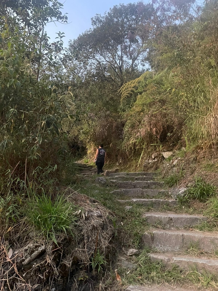 Personne qui fait de la randonnée sur un sentier de pierre entouré de verdure.