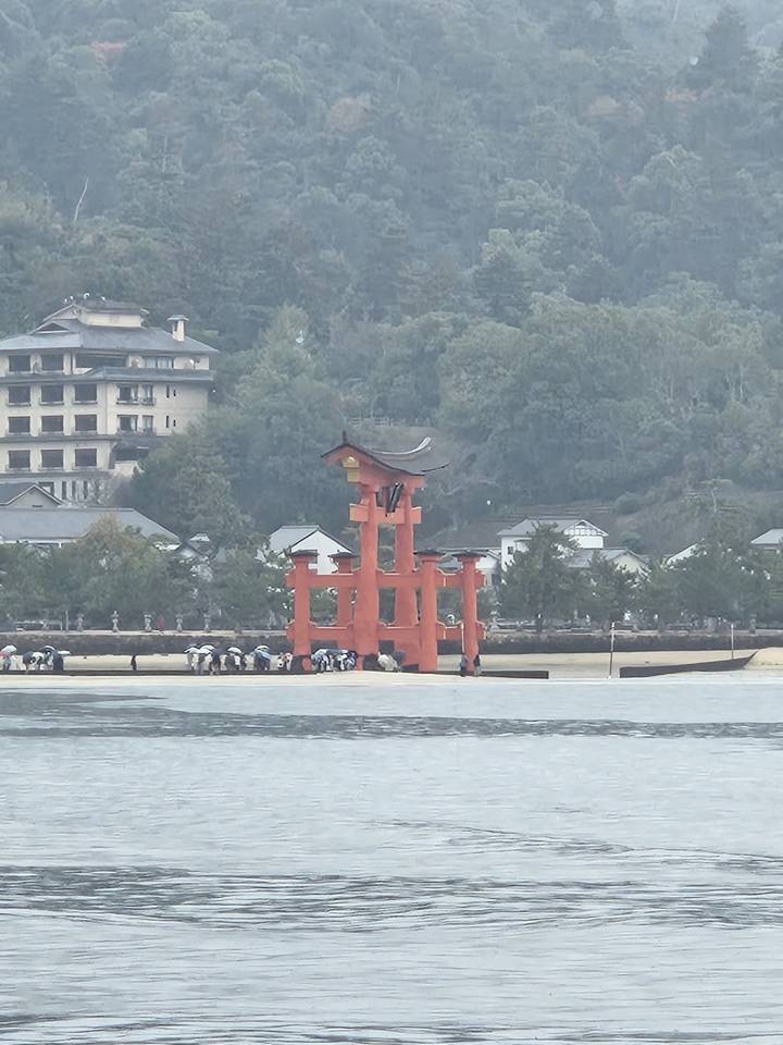 Porte du sanctuaire d'Itsukushima dans l'eau avec un arrière-plan boisé.