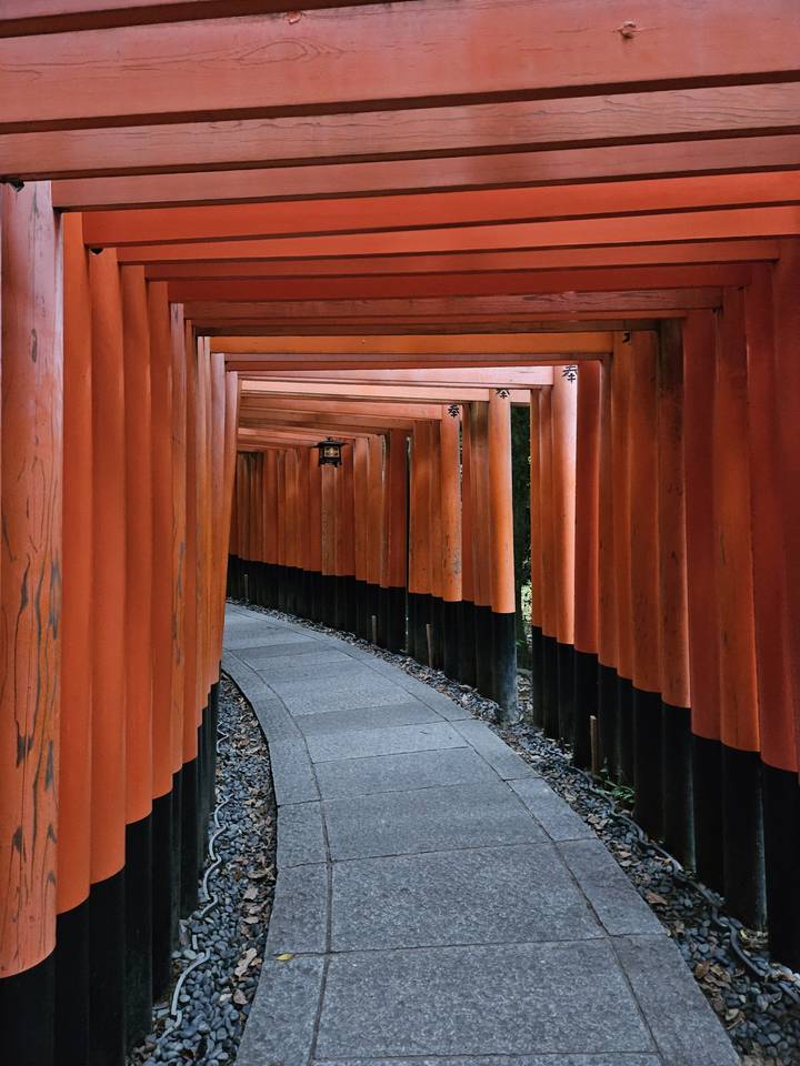 Torii rouges bordant un sentier de pierre à travers une forêt.
