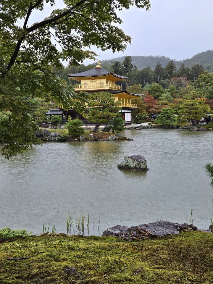 Pavillon doré au bord d'un étang avec des arbres à Kyoto.