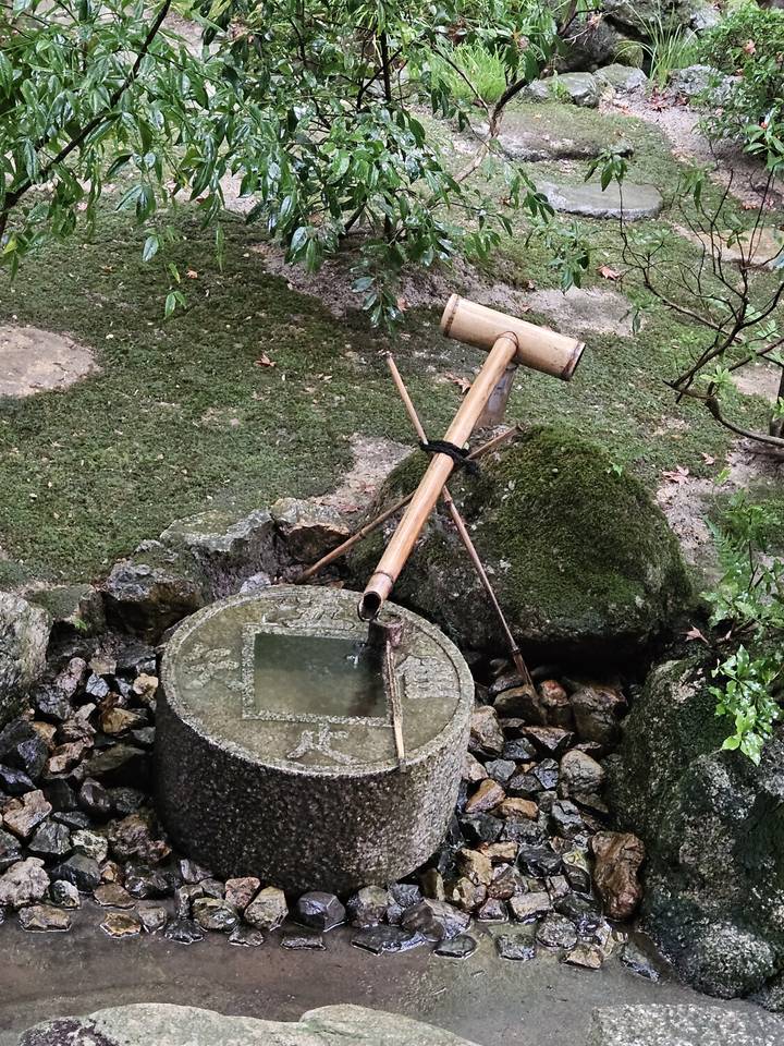 Bassin d'eau en pierre avec fontaine en bambou dans un jardin.