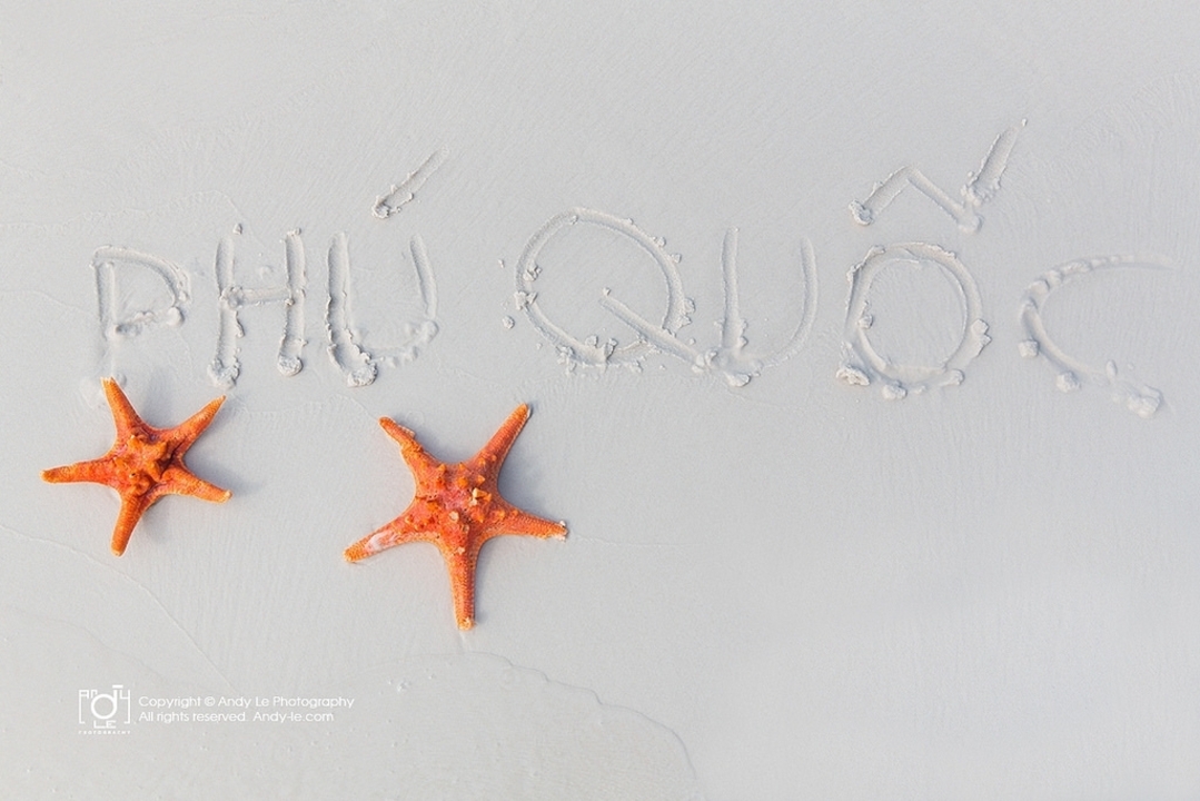Text sur le sable avec étoile de mer, filigrane présent