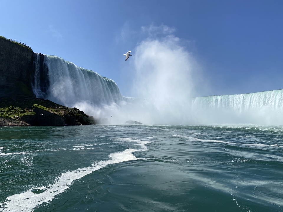 Les chutes du Niagara avec une mouette volant au-dessus de la brume.
