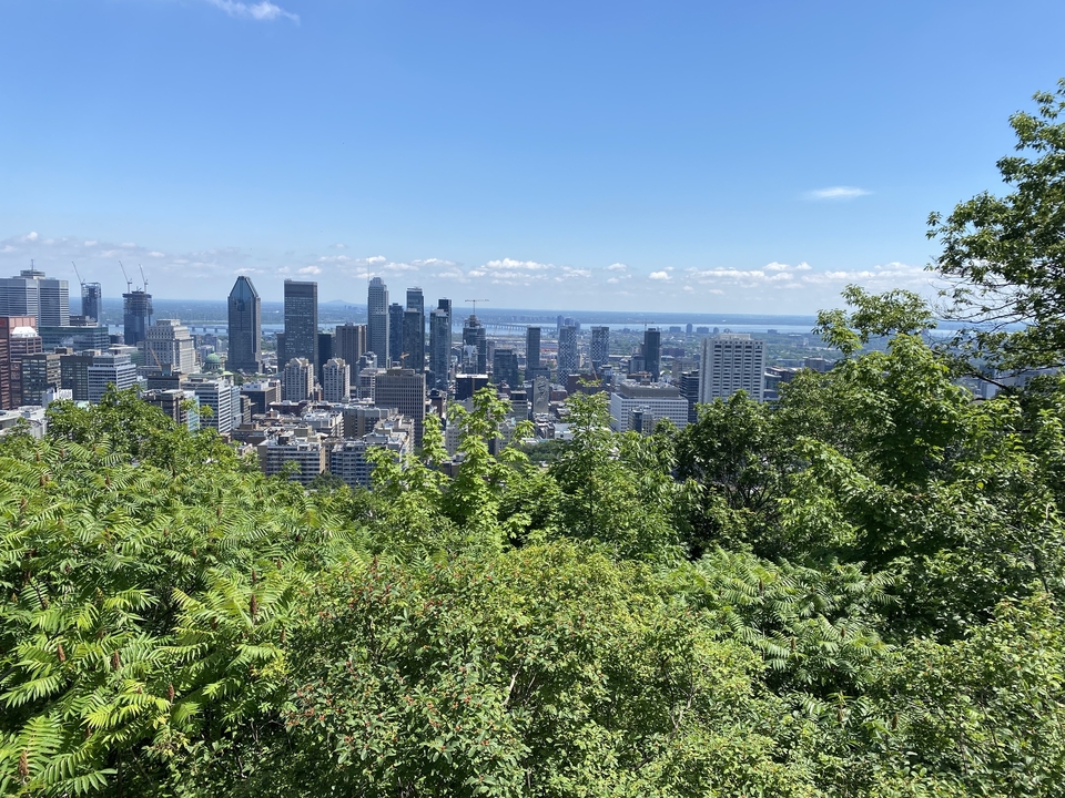 Vue aérienne de l'horizon de Montréal avec des gratte-ciel et de la verdure.
