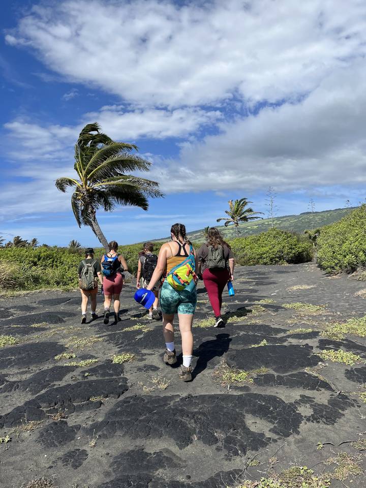 Des gens qui marchent sur un sentier avec des palmiers sous un ciel bleu.