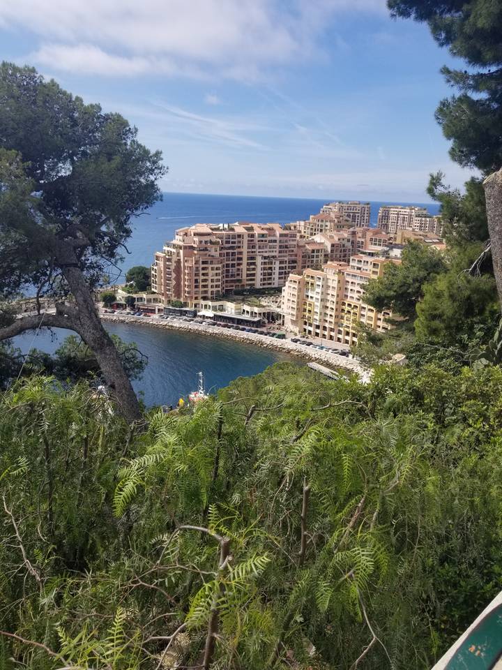Vue de bâtiments le long d'une côte avec des arbres au premier plan.