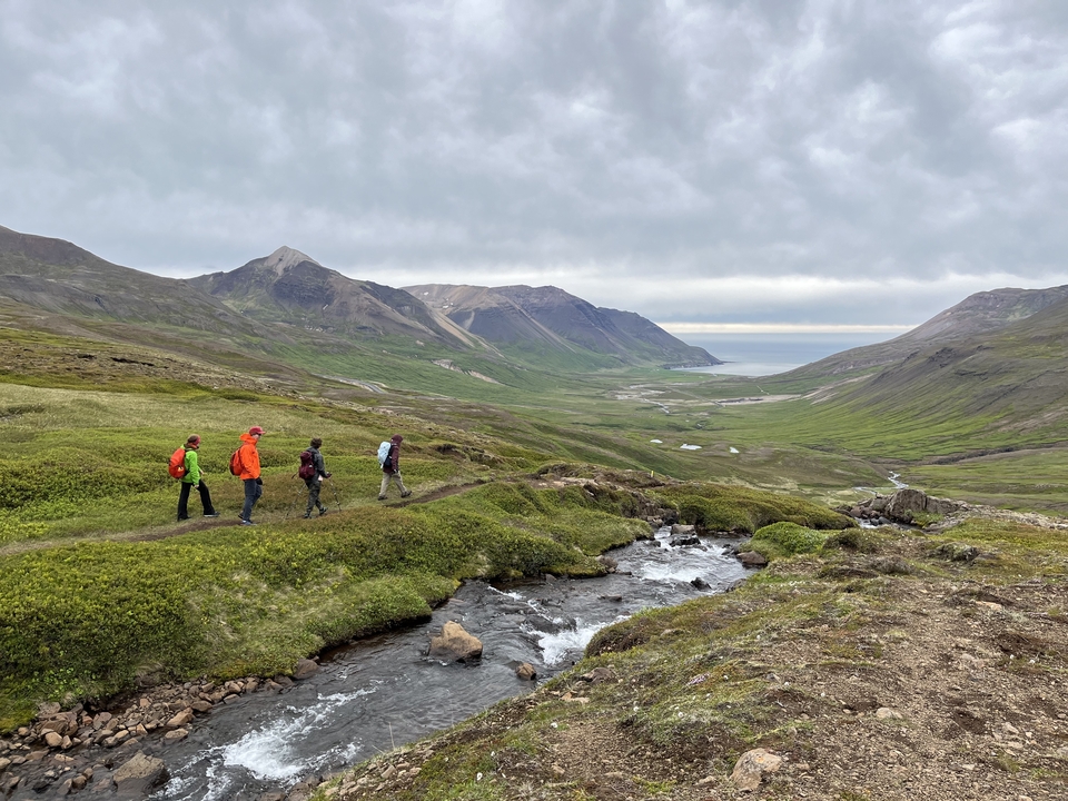 Quatre randonneurs marchant le long d'un sentier de montagne.