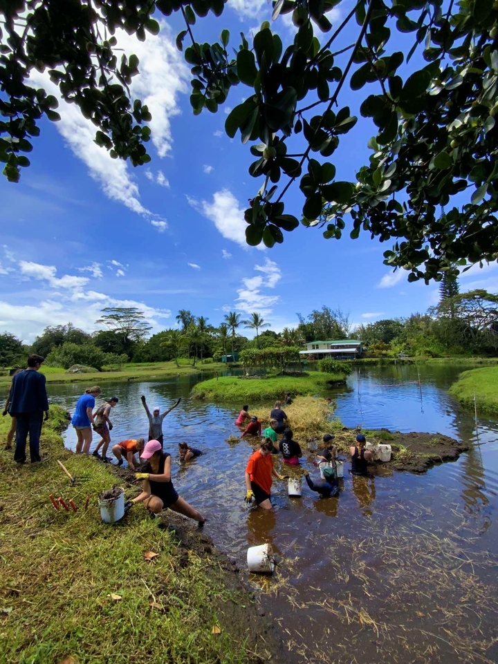 Des gens rassemblés dans un parc près d'un étang pratiquant diverses activités.
