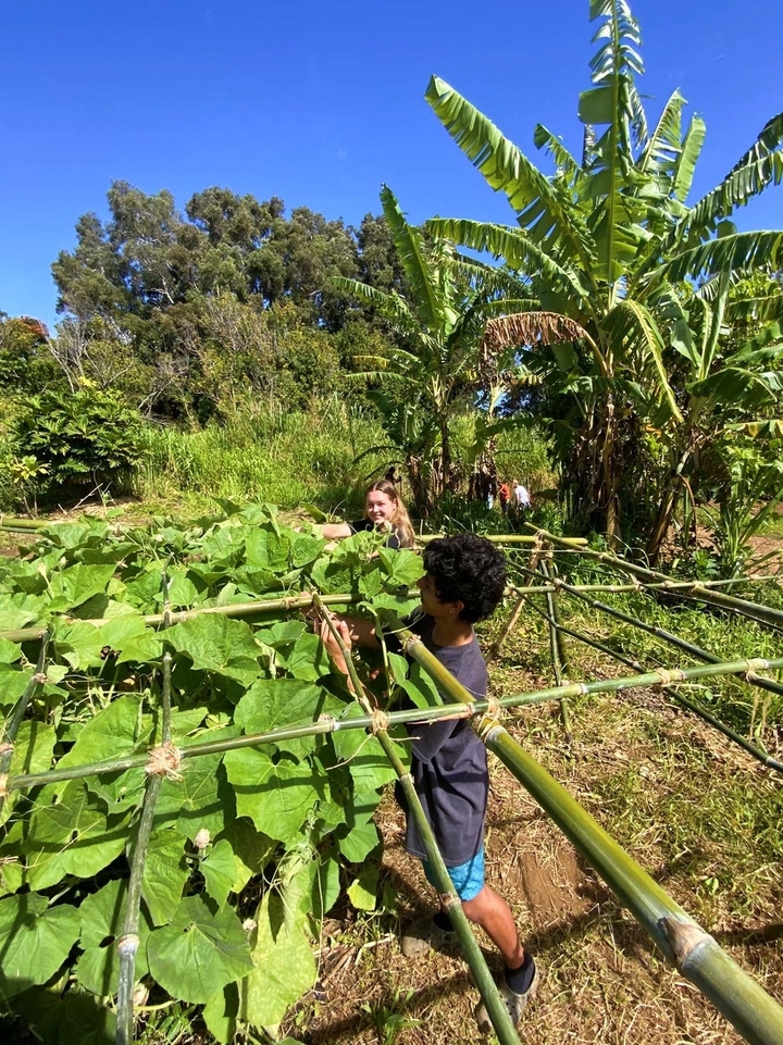 Des gens qui travaillent dans un jardin avec une végétation luxuriante et des bananiers.
