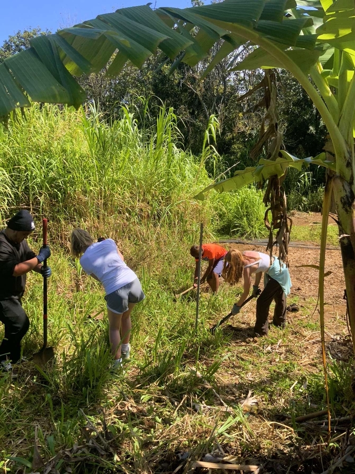 Des personnes travaillant dans un jardin, bêchant la terre avec une végétation luxuriante tout autour.