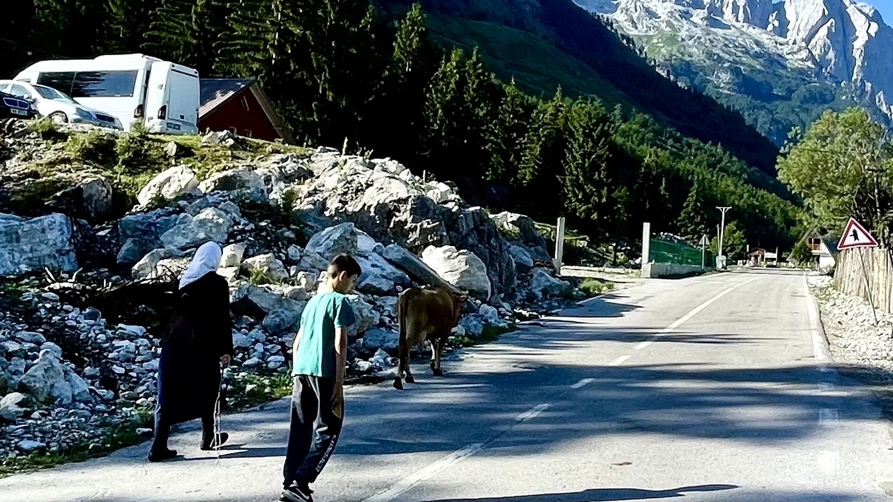 Local woman and child walking a cow along a mountain road lined with rocks