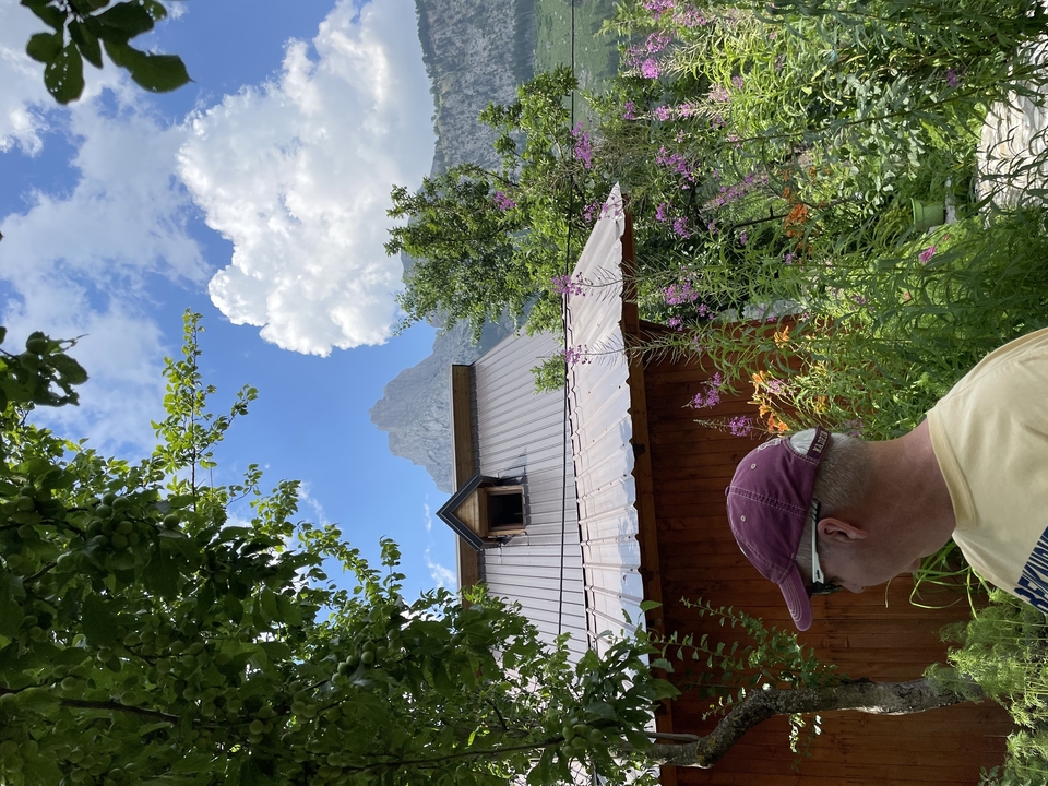 Man standing in a lush garden beside a wooden cabin with mountain peaks and blue sky beyond
