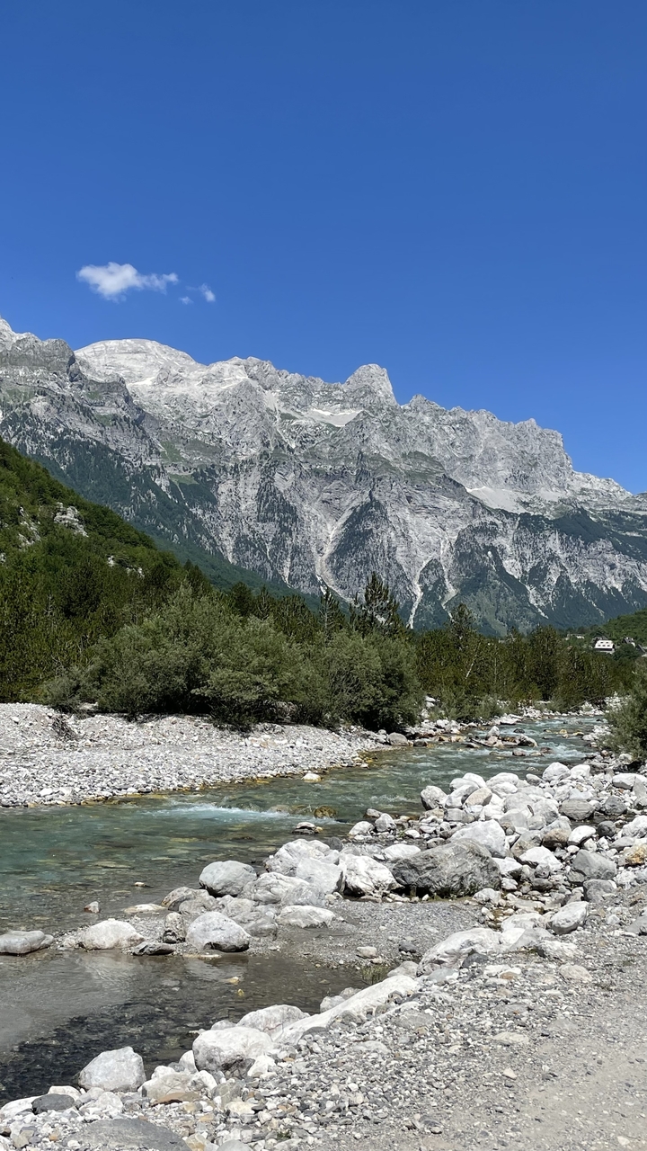 Rocky alpine peaks towering over dense pine forest with a stony riverbed in foreground