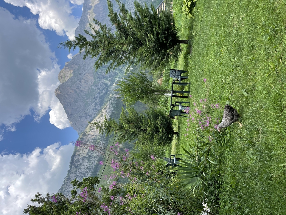 Grassy garden with mountain backdrop, plastic chairs and a roaming chicken