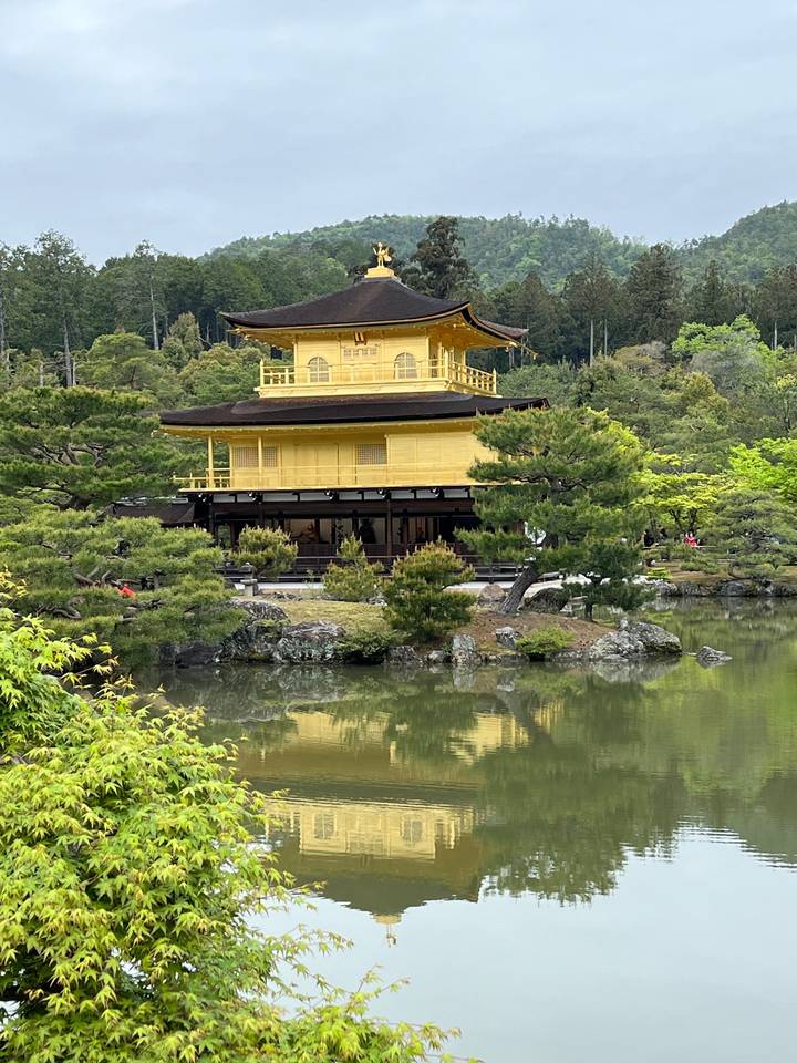 Un temple doré se reflétant dans un étang entouré de verdure.