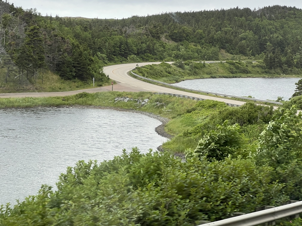 Paysage pittoresque avec une route sinueuse au bord d'un plan d'eau et une végétation luxuriante.