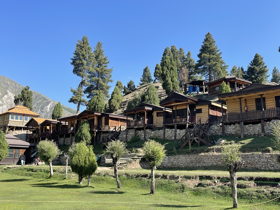 Wooden chalet-style houses on a hill with surrounding trees.