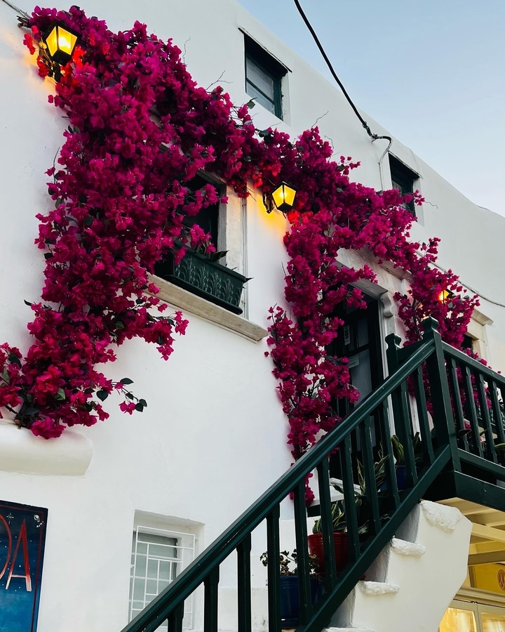 Bâtiment avec des fleurs roses vives.