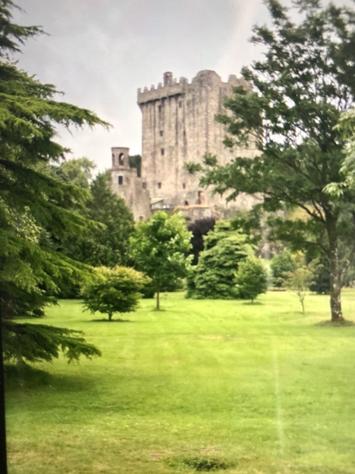 Castle ruin amidst a green park.