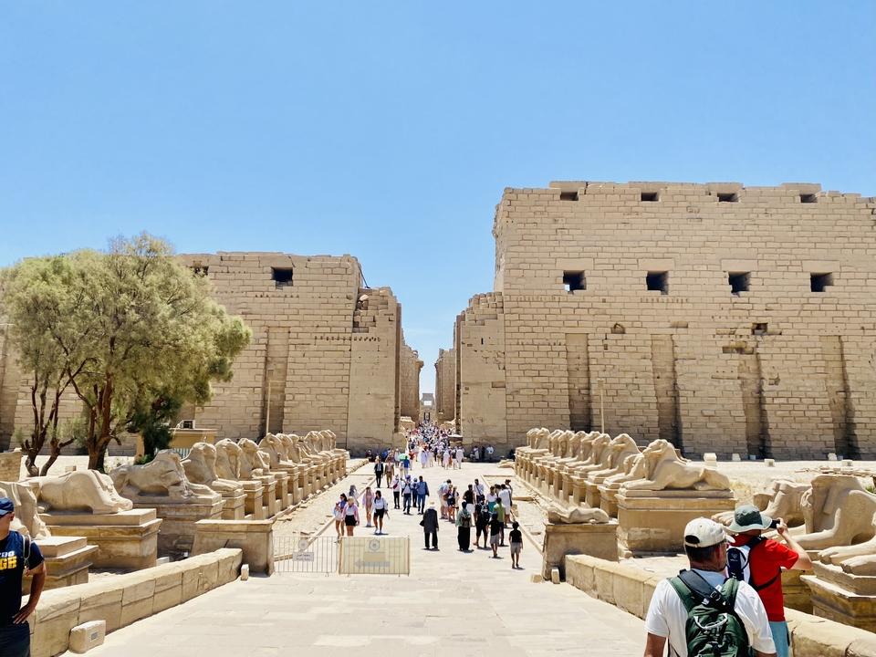 Ancienne allée bordée de statues de sphinx et de murs en ruines avec des touristes.